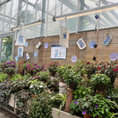 the greehouse wall with plants and designed textiles