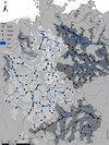 Map of Germany with gauges along the examined rivers including their catchment areas and floodplains