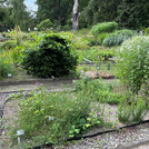 the model bed with plants