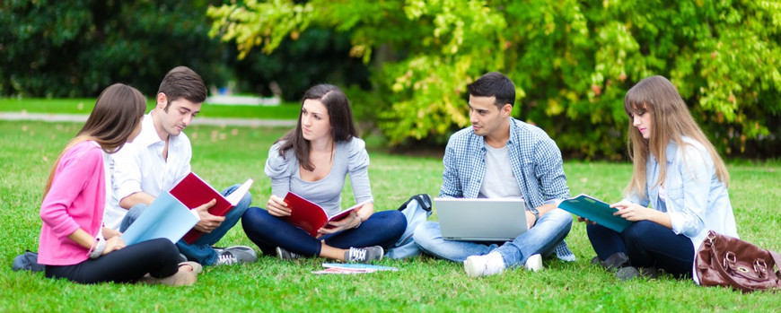 Studierende auf einer Wiese