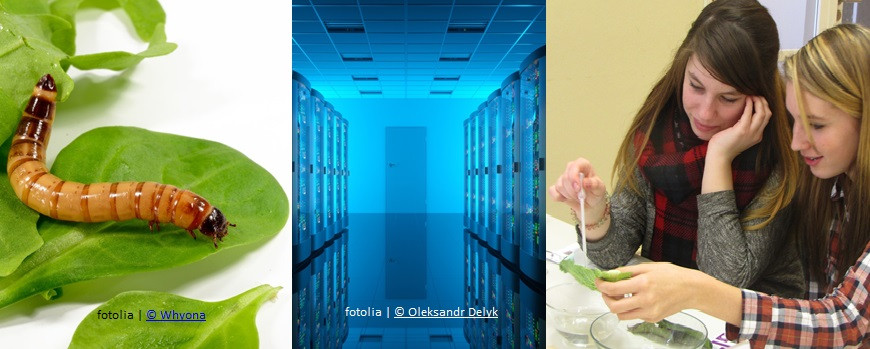 MINT-Tag am 23.05.2016