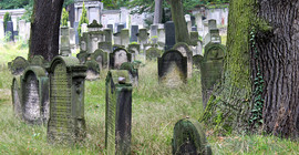 Jüdischer Friedhof in Potsdam. Das Foto ist von Dr. Anke Geißler-Grünberg.