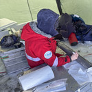 Preparing the sediment cores