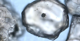 Nanogranite – winzige Schmelzeinschlüsse –, die erst bei enormer Vergrößerung unter dem Mikroskop erkennbar sind. Foto: Silvio Ferrero