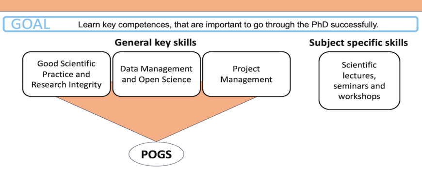 The Structure of the module Scientific Key Skills