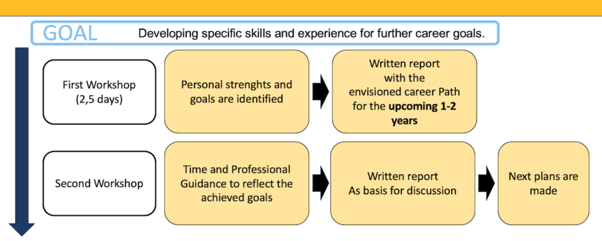 Figure of the structure of the module Individual Training and Development