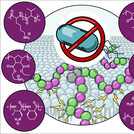 Bioinspired Cationic Antimicrobial Polymers