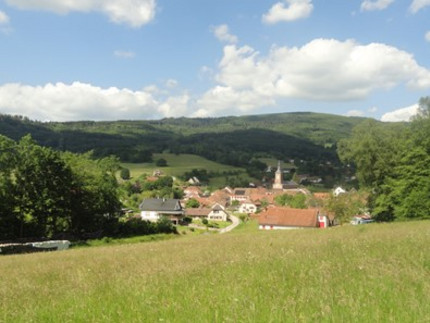 ein kleines Bergdorf im grünen Tag mit Wäldern umrahmt