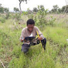 Measuring trees in Ghana