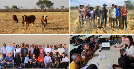 Collage of pictures showing cows grazing on rangeland, researchers on the field, group picture with project members and stakeholders and educational activities with school learners.