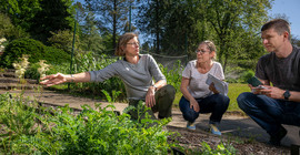 Prof. Dr. Anja Linstädter (li.) und Dorit Siebert am Modellbeet des Projekts „Pflanze KlimaKultur!“ im Botanischen Garten der Universität Potsdam.