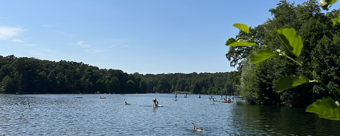 Stand Up Paddling auf Berliner und Potsdamer Seen - 