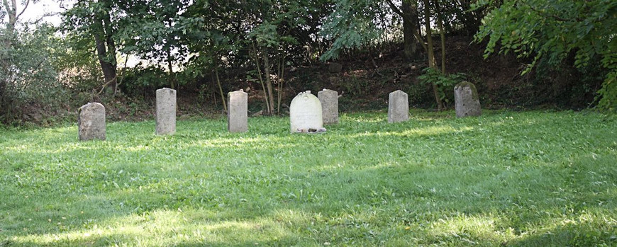 Gerettete jüdische Grabsteine in Cedynia