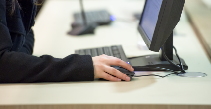 Symbolbild. Eine Person surft an einem PC im Internet. Foto: Karla Fritze
