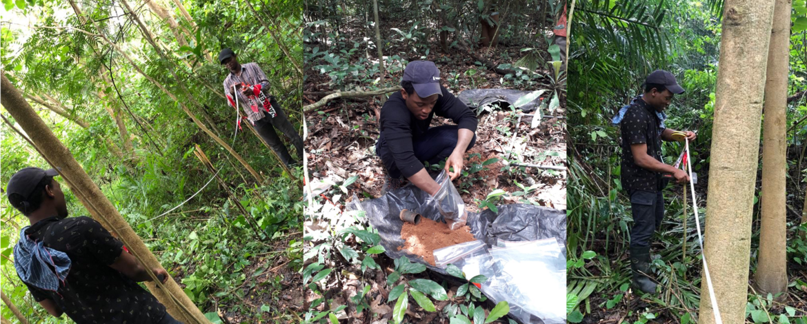 Fieldwork in Ghana: PhD candidates and master's students establishing plots, collecting samples and measuring trees