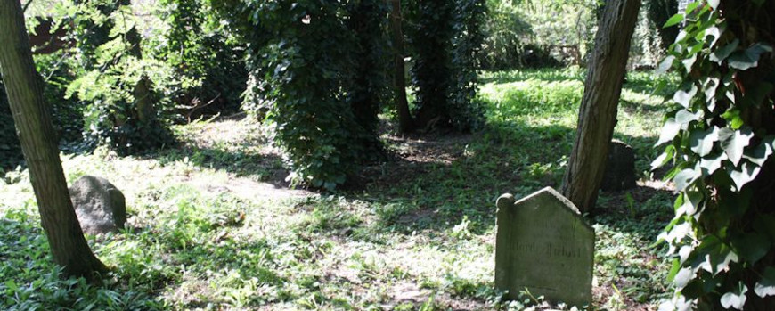 Zustand des Friedhofs in Moryń 2020