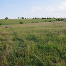 Grassland research site