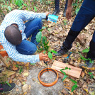 Measuring greenhouse gas emissions in the field in Ghana