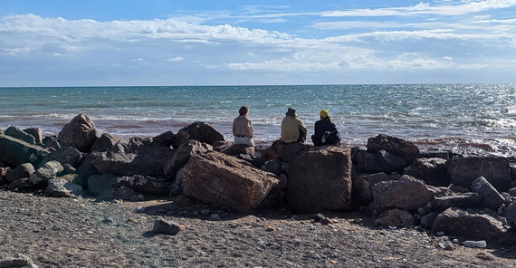 Studierende sitzen am Strand und blicken aufs Meer