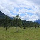 Floodplain of alpine Isar