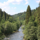 View of the Regen in a forest from a trail