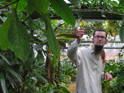 Steffen Ramm zeigt im Tropenhaus auf epiphytische Pflanzen