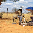 Two NamTip researchers collecting data from a soil probe, one of them holding an umbrella to protect herself from the sun