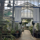 a view in the botanical garden greenhouse