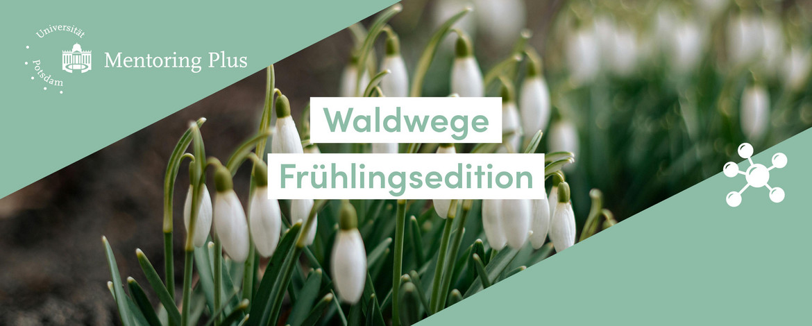 Waldwege Frühlingsedition Mentoring Plus - 