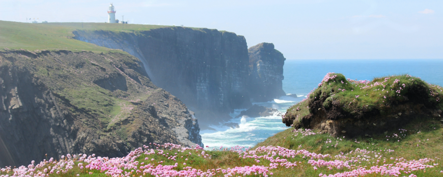 Bild von irischer Landschaft