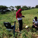 People doing fieldwork within the Sahelian zone of Niger