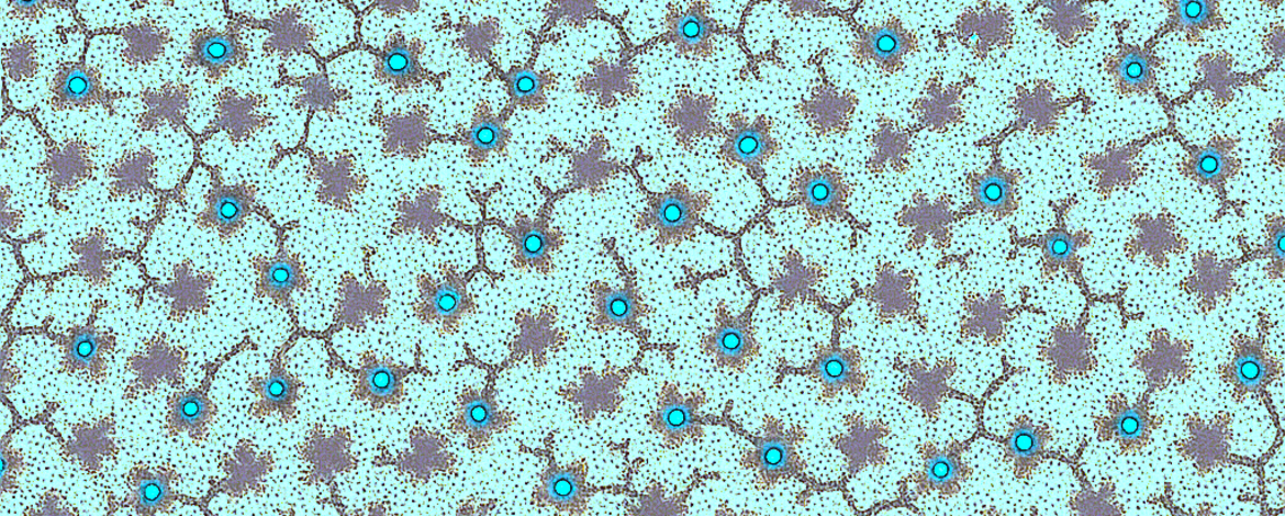 Anonymous, Alsatian, 19th century Textile Design with a Network of Branches with Stylized Leaves and Flowers and Pearls Over a Stippled Background, Artist: Anonymous, Alsatian, 19th century, Date: 1840 -