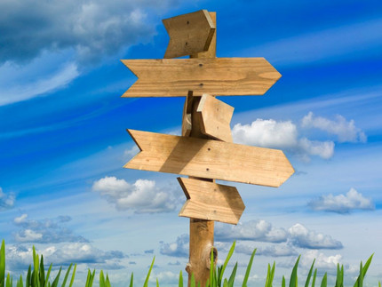 Wooden signpost standing in a meadow Wooden signpost standing in a meadow