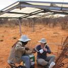 Two NamTip researchers repairing a soiul probe under the roof of the TipEx rainout shelters