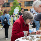 Zwei Personen beugen sich über einen Tisch mit Gesteinsproben