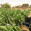 Chamber system field trials