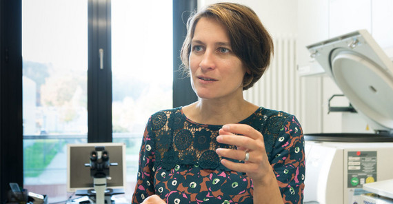 Prof. Dr. Katja Hanack im Labor. | Foto: Karla Fritze