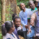 people standing on a tree between plants