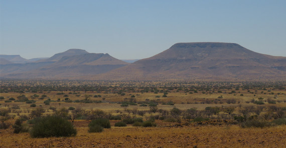 Savanna vegetation in Southern Africa