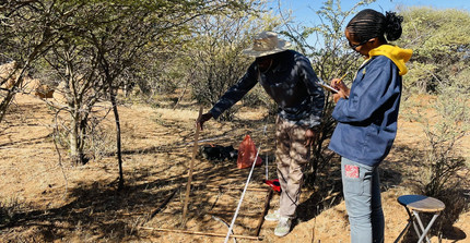 Researchers standing in front of plot with herbaceous and woody vegetation and taking measurements in a savanna environment