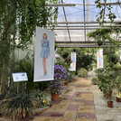 another view in the botanical garden greenhouses with the exhibition posters