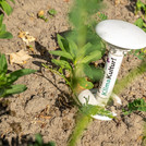 a data logger in the ground between plants