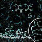 Non-Amphiphilic Antimicrobial Polymers