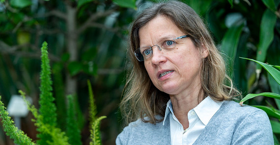 Prof. Anja Linstädter im Interview.