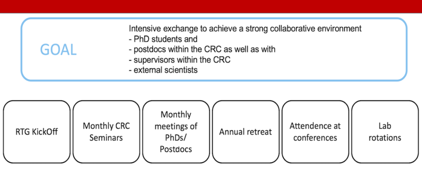 The structure of the module Interdisciplinary Knowledge and Exchange