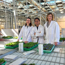 this is the project team