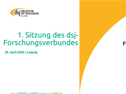 Symbol dsj Forschungsverbund