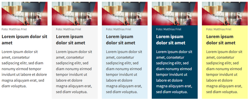 Beispielhafte Darstellung einer Teaser-Karte in der Inhaltsspalte Beispielhafte Darstellung einer Teaser-Karte in der Inhaltsspalte mit fünf gleich breiten Boxen und mehrfarbigen Teasern