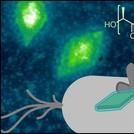 TOC Biomacromolecules 2024