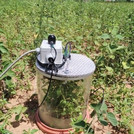 Measuring greenhouse gases in the field